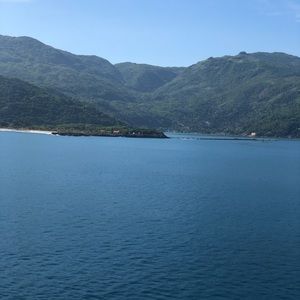 Meet your Posher, Nelli